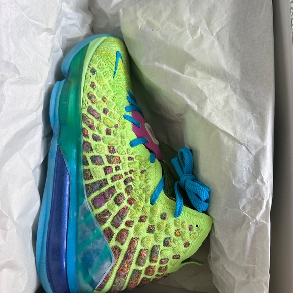 LeBron James XVll